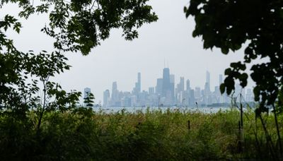 Rent prices dip slightly in Chicago metro area, report finds