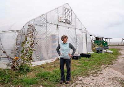 ‘No normal seasons any more’: seed farmers struggle amid the climate crisis