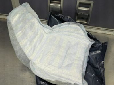 Flight diverted after adult nappy in plane toilet mistaken for a bomb