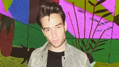 Liam Payne banned from driving for six months after speeding charge