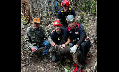 Rescue team gets a big surprise as they save dog from Tennessee cave