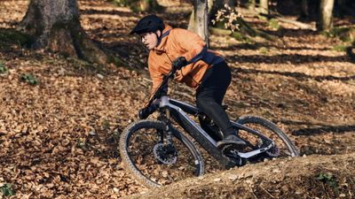 Europe: E-Bikes Categorized As Bicycles Not Motor Vehicles