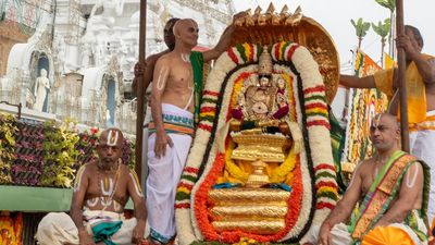 Malayappa rides Chinna Sesha Vahanam on second day of Navaratri Brahmotsavams