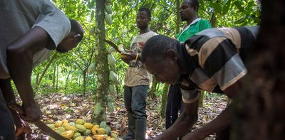 Traditional farming knowledge should be stored for future use: the technology to do this is available