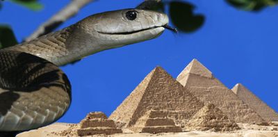 Ancient Egypt had far more venomous snakes than the country today, according to our new study of a scroll