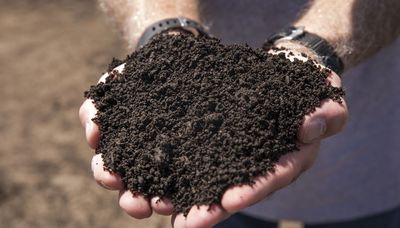 Chicago announces first city-run composting program with 15 drop-off sites