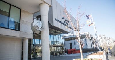 Mum allegedly pulls woman into car after daughter wearing traffic cone 'booped'