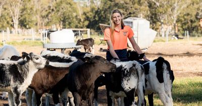 Dancer turned dairy farmer, now feels 'at home'