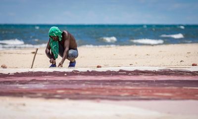 Malawi swelters in record heat with temperatures nearly 20C above average