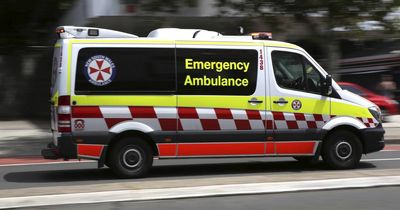 Woman hospitalised after being attacked by dogs