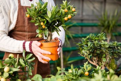 How to protect your plants as the first frosts arrive