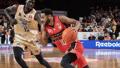 NBL star Webster in trouble for rainbow flag tweet
