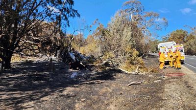 Heatwave, bushfires wreak havoc as threat moves north