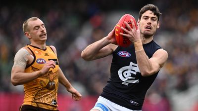 Inexperienced Blues to ride the wave of AFL prelim