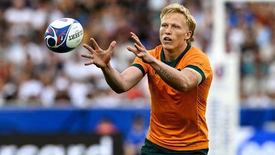 Playmaker Gordon set to pay price for Wallabies loss