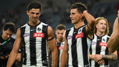 Magpie veteran amazed at how Daicos leads by example