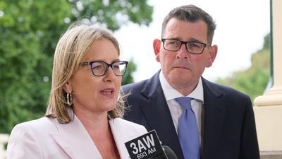 Deputy and ally puts hand up to succeed premier