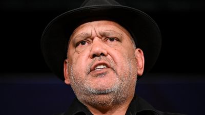 Indigenous voice is 'not about race': Noel Pearson