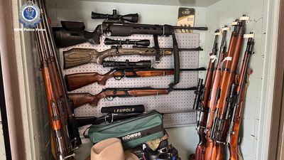 Police seize guns, revoke licences in series of raids