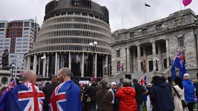 Freedom fringe hold election rally in Wellington NZ