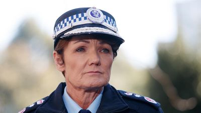 NSW top cop accepts issues with cold case evidence