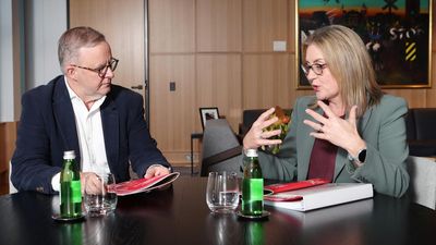 Albanese endorses Allan following robust meeting claims