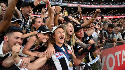 Police praise fan behaviour as Magpies bask in AFL flag