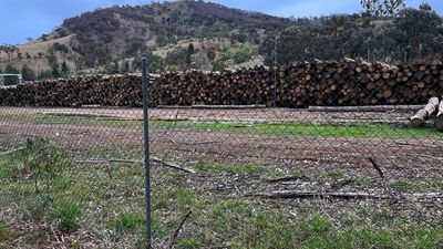 WA to end commercial logging of native forests