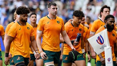 Wallabies left in shade having missed chance to shine