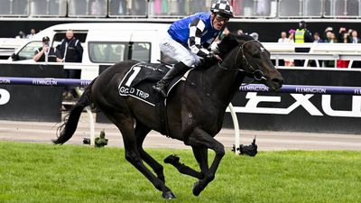 Racing heavyweights, AFL stars set for spring carnival