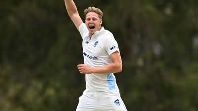 Edwards cleans up Qld to put NSW on top in Shield
