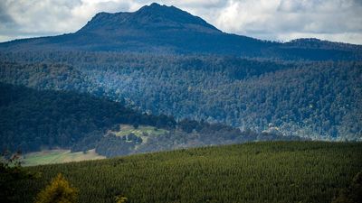 Super fund invests in Tasmanian private forestry