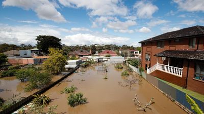 Old data sinks hopes of levee verdict in flood findings