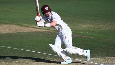 Pierson, Neser dig in but NSW in control against Qld