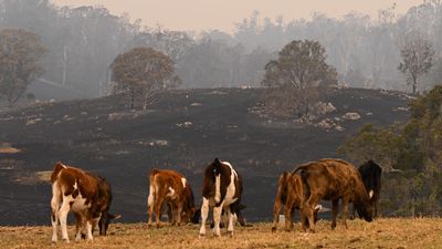 Brief reprieve for fire crews ahead of hot, dry weather