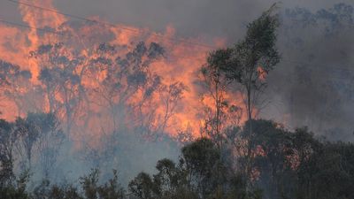 Few Aussies grasp serious, urgent climate threat