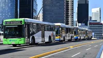 Ride for free, Greens push for no cost public transport