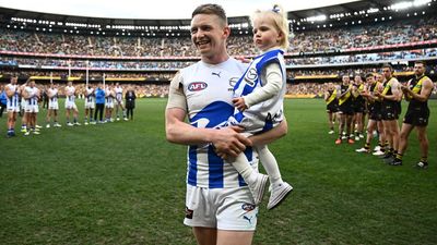 Former North captain Ziebell joins Yze's Tigers panel