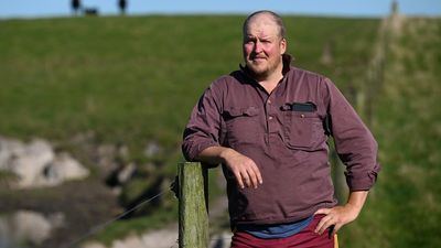 King Island beef over 'sub-par' shipping service
