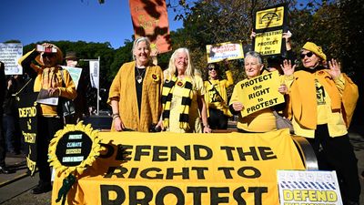 Nannas dig in as UN expert condemns anti-protest laws