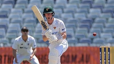 Silk to the rescue as Tasmania fights back against WA