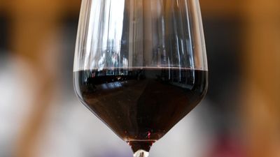 Treasury Wine Estates gets 'first strike' over exec pay