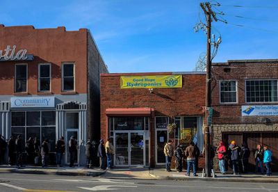 As more states legalize cannabis, the market for seeds is in full bloom