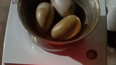 Gold rush: Punjab grapples with soaring smuggling operations from Gulf