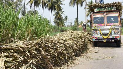 Sugar production likely to reduce by about 15 lakh tonnes