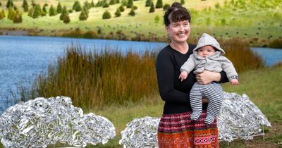 'It will glow and hum at night': Arboretum commissions its first piece of public art