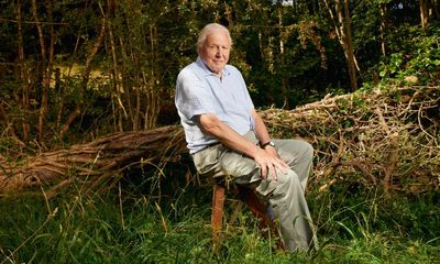 David Attenborough claims the amount of planetary space humanity takes up is ‘selfish’