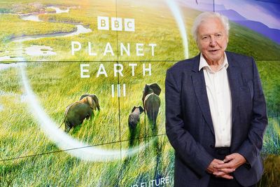 Sir David Attenborough says children need more opportunities to observe nature