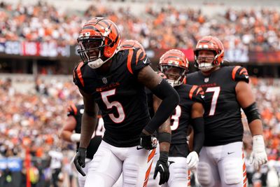 Bengals WR Tee Higgins looking to bounce back after bye week