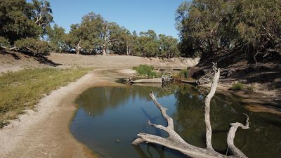 Murray-Darling Basin plan changes pass lower house